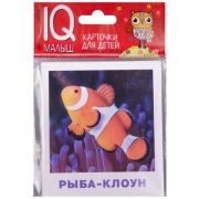 *Игр(Айрис) IQ-Малыш Обитатели морей и океанов Набор карточек