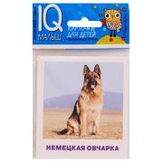 *Игр(Айрис) IQ-Малыш Породы собак Набор карточек (Малунова М.В.)