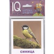 *Игр(Айрис) IQ-Малыш Птицы Набор карточек (Ходюшина Н.П.)