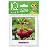 *Игр(Айрис) IQ-Малыш Что растет в саду? Набор карточек (Ходюшина Н.П.)