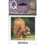 *Игр(Айрис) IQ-Малыш Кто живет в лесу? Набор карточек (Ходюшина Н.П.)