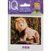 *Игр(Айрис) IQ-Малыш Животные жарких стран Набор карточек (Ходюшина Н.П.)