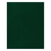 Тетрадь 48л., А5 клетка BG, бумвинил, зеленый