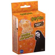 76639 Игровой набор Гарри Поттер «Опыты Слайм»
