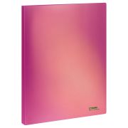 Папка с 20 вкладышами СТАММ «Сияние» А4, 14мм, 700 мкм, пластик, розовый