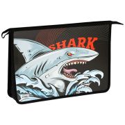 Папка для тетрадей 2 отделения, А4, ArtSpace «Strong», пластик, на молнии