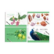 Альбом для рисования 48л., А4 на гребне BG «Stay magical», эконом