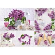 Пазл  1000 эл. ТРИ СОВЫ «Сиреневый этюд»